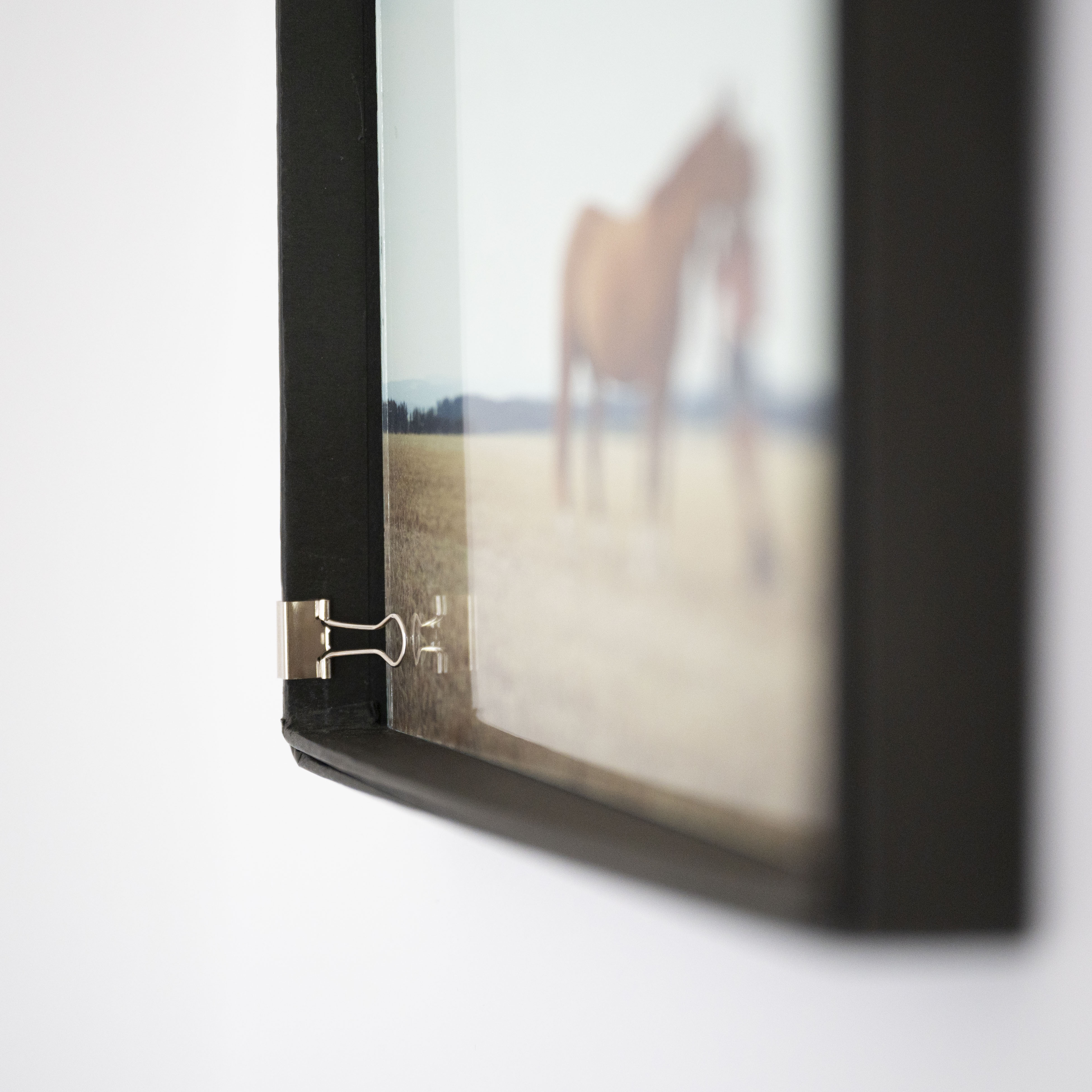 Fotocredit Fotografin Barbara Ziegelböck